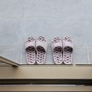 609 | 충북_제천) 제천 벚꽃시즌 포레스트 리솜_레스트리 S20 609호 내돈내산 재방문 후기