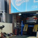 신대동카 이미지