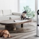 펫플러스 이미지