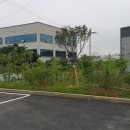 수목산업