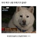 씨제이올리브영(주) 이마트 광주점 | [공지] 6/29-7/5