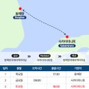 동해항 국제여객터미널 | 동해항에서 일본 가기 이스턴드림호 플로팅호텔 요나고 여행 후기