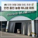 하나로마트 | 옹진 대형마트 하나로마트 후기｜캠핑 장보기 한방 해결