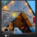 365플러스오정세종점 | [공지] 칭찬 가득한 후기 2,100개! 풀빌라의 여유와 글램핑의 감성이 만난, 가평 스페인마을 풀램핑