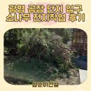 공장단지입구(42555) | 광명 소나무 전지작업 공장 단지 정리 후기!