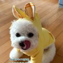 [국비_내일배움카드] 10/16 패션소품(홈패션) 자격증 과정 | 의류만들기는 내일배움카드로 국비지원받아 알뜰하게...창업도 가능하고 자격증취득해서 강사도 할 수...