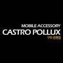 카스트로폴로스 네이버블로그