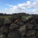 당근민박 이미지