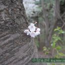 아미산숲센터 이미지