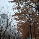 스타벅스커피 서강대흥역 이미지