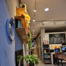 가인스킨샵 이미지