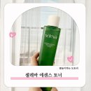 닦토 흡토 쫀쫀한 모공에센스 셀레바 에센스 토너 올인원 모링가 사용후기