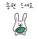 망고펫살롱 이미지