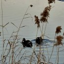 서종당구장 이미지