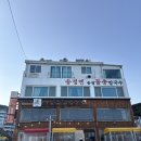 6662 | 송정맛집추천 5곳 돌고 실패 끝에 정착한 곳, 송정물총칼국수 재방문 후기