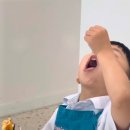 블루밍팬 이미지