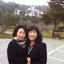 김경자