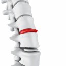 다이아짐(DIA GYM) 이미지