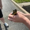 오리와사람들 이미지