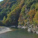 용소길 96 이미지