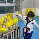 리틀 키즈 태권도장 이미지