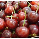 갑산농장 이미지