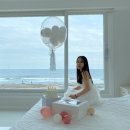미아니아 이미지