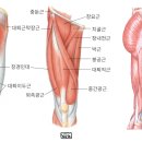 JP PT Studio 이미지