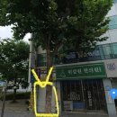 위강원한의원 이미지