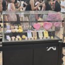 주식회사 퀸바비멤버십 | 블랙핑크 콘서트 데드라인 관람후기(3층 3층 W5구역 15열 시야)