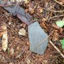 월평동산성 | 대전 월평동산성 (大田 月坪洞山城)