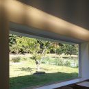 이레패션 이미지