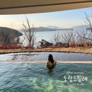 가족독채펜션편한대로 | 경남 거제 독채 풀빌라 도랑드빌레 내돈내산 솔직후기