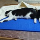 찬스당구장 이미지