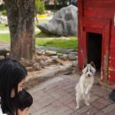 강릉 쌍둥이 동물농장 이미지