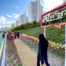 꽃길만걷자 이미지