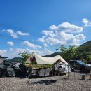 플로라 캠프 이미지