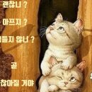 세이에너지 네이버블로그