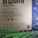 삼감마마 이미지