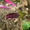 801하우스 이미지