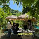 그린노트 | 용인수지 성인취미미술 야외스케치 후기｜그린노트 정원카페에서 빛을 그리다
