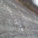 신성리 공룡발자국 이미지