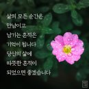 ＜자연식품이 주는 효능 20＞ 이미지