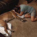 안녕, 내강아지 이미지