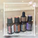 김원장면역테라피 | 생리불순 도테라 궁테라피로 잡아보자!!(강력추천)