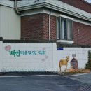 매산1리 | 음성 감곡벽화마을(2019.06): 참신함과 소박함의 절묘한 밸런스
