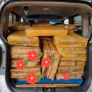 군산박대삼촌 이미지