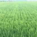 인제한의원 이미지