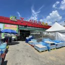 혜인청과 | 영광군에서 가장 싸고 크다! 영암식자재마트 Y마트 법성포점