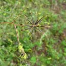 불광천변 이미지